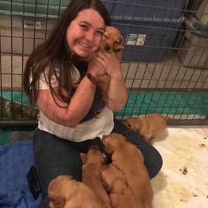 Meet your Posher, Jericho